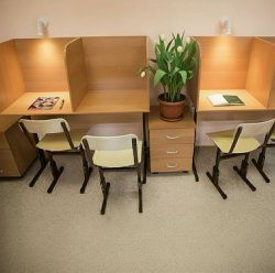 Парта с перегородкой для детей с расстройствами аутистического спектра